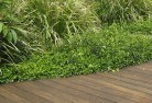 Caninahard-landscaping-surfaces-7.jpg; ?>