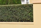 Caninahard-landscaping-surfaces-8.jpg; ?>